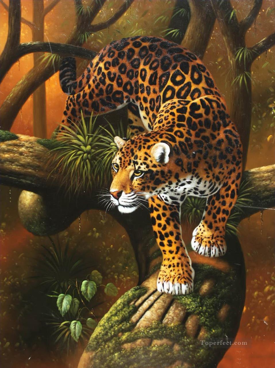 cheetah down the tree panther Oil Paintings